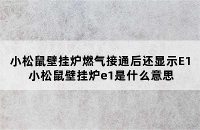 小松鼠壁挂炉燃气接通后还显示E1 小松鼠壁挂炉e1是什么意思